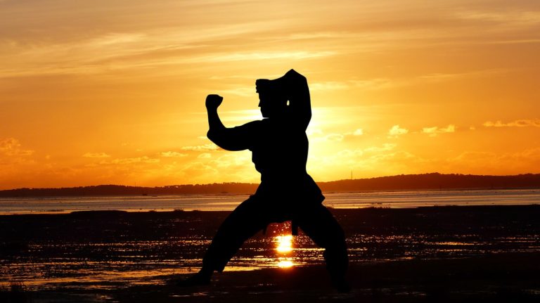 what-is-non-contact-martial-arts-training